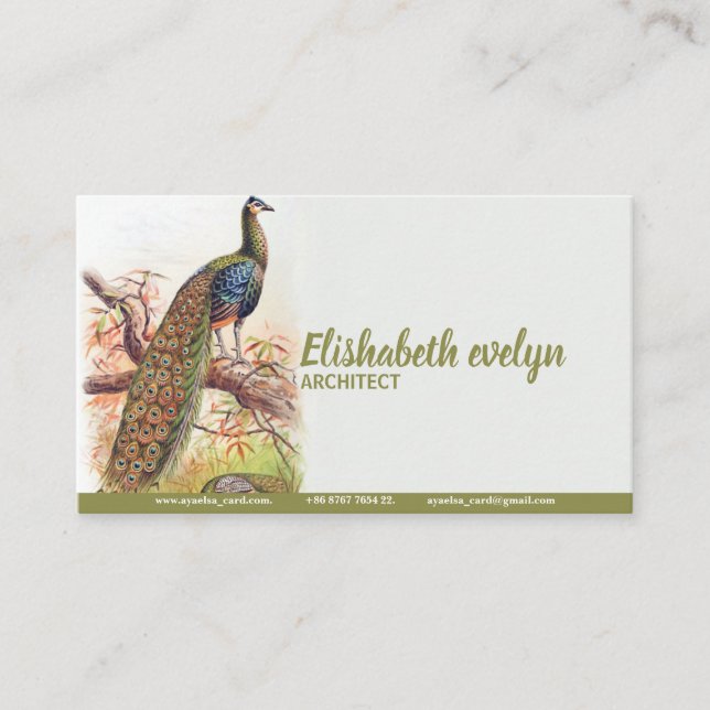 Peacock Vintage Art Old Business Card (Front)
