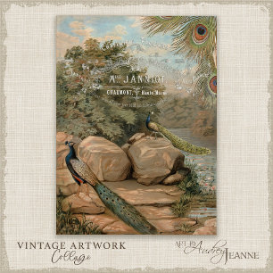 Peacock Water Lily Flora French Ephemera Decoupage Tissue Paper