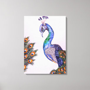 Peacock Watercolor Canvas Print