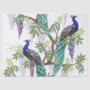 Peacock Wedding 17"x 23" Tissue Paper