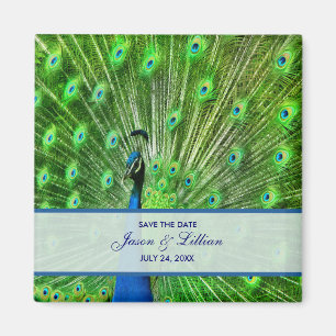 Peacock Wedding Save The Date Magnet