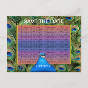 Peacock Wedding Save The Date Postcard
