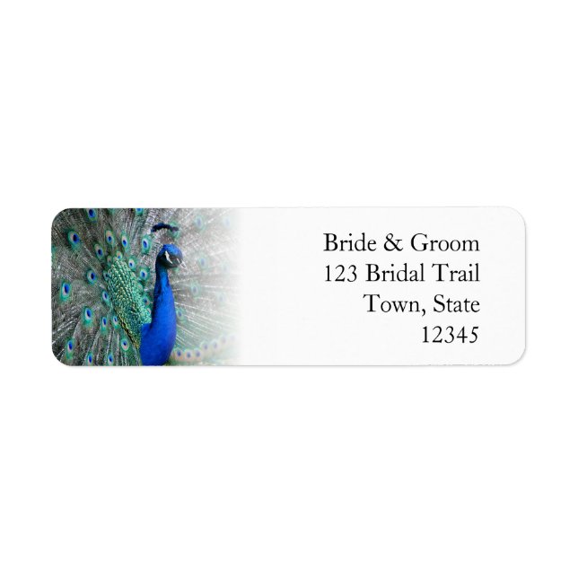 Peacock Wedding Theme 1 (Front)