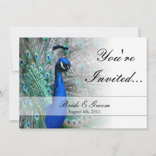 Peacock Wedding Theme 1 (Blue) Invitation