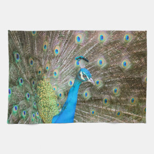 Peacock with Feathers Fanned - Wildlife Bird Photo Tea Towel