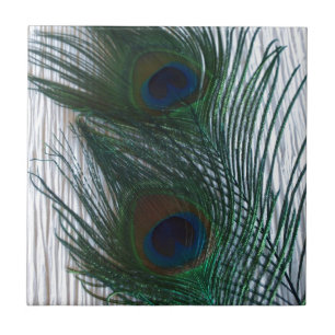Peacock with White Tile