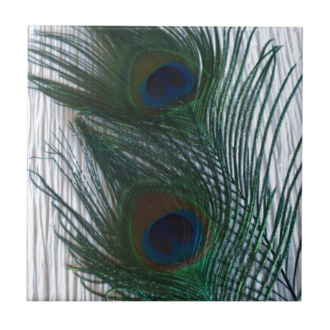 Peacock with White Tile (Front)