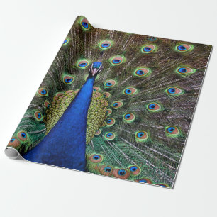 Peacock Wrapping Paper