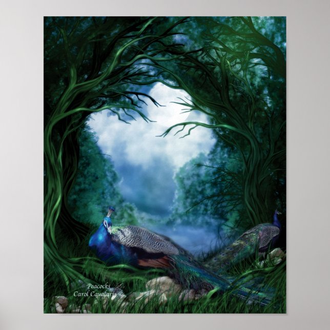 Peacocks Art Poster/Print Poster (Front)