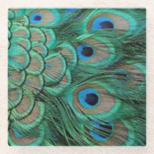 peacocks feather 1 glass coaster