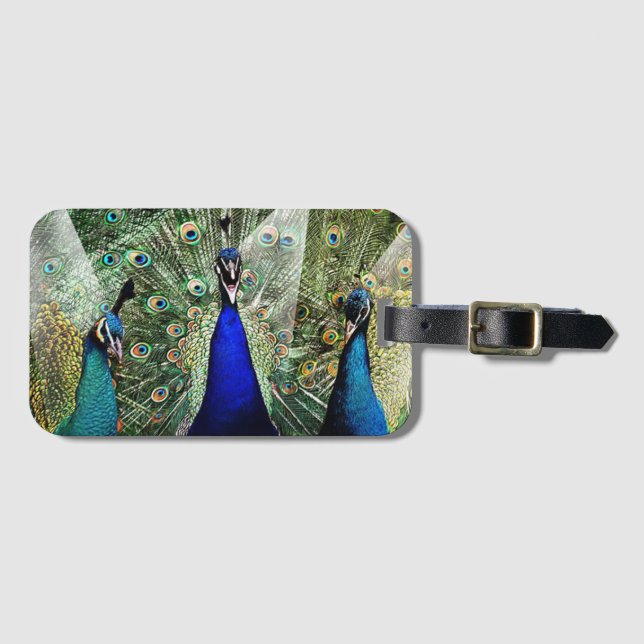 Peacocks Luggage Tag (Front Horizontal)