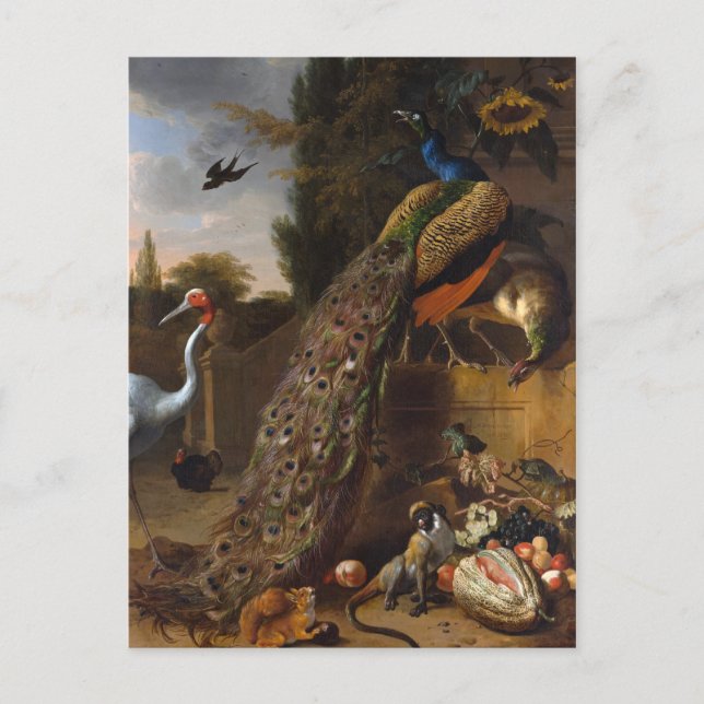 Peacocks - Melchior d' Hondecoeter Postcard (Front)