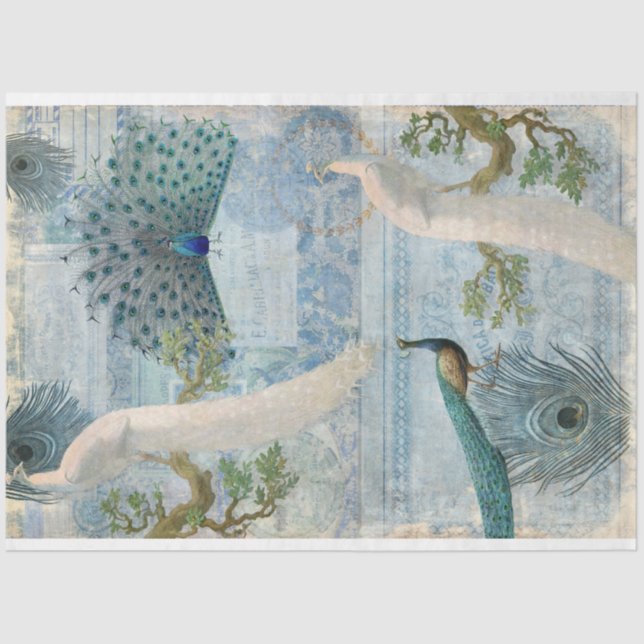 Peacocks n Feathers White Blue Craft Decoupage  Tissue Paper (Front)