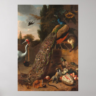 Peacocks Poster