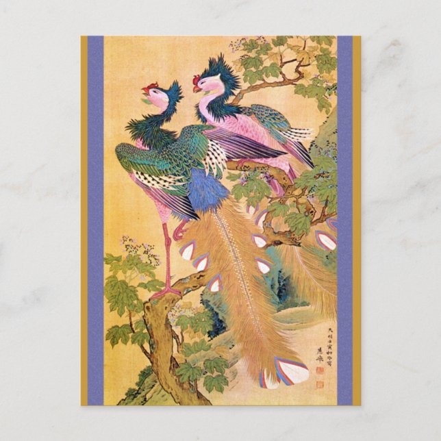 peacocksnotebue postcard (Front)