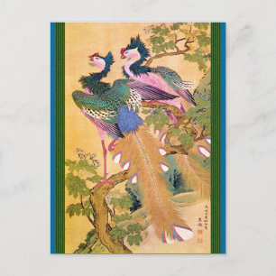 peacocksnotegreencordpng postcard