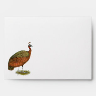 Peafowl: Congo Peahen Envelope