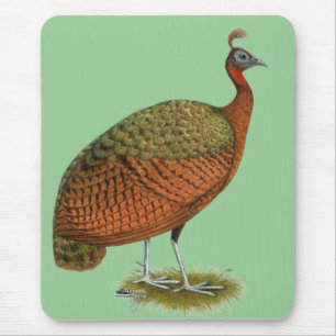 Peafowl:  Congo Peahen Mouse Mat