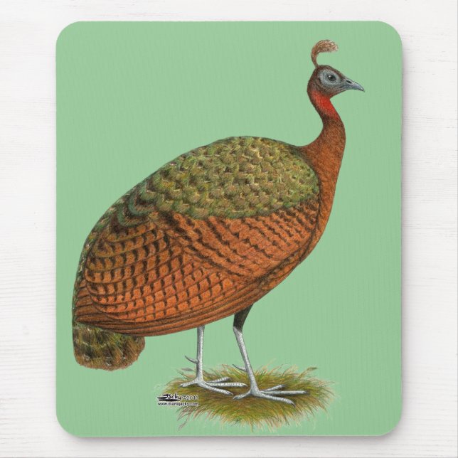 Peafowl:  Congo Peahen Mouse Mat (Front)