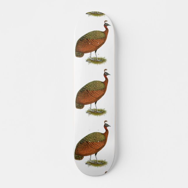 Peafowl:  Congo Peahen Skateboard (Front)