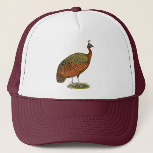 Peafowl:  Congo Peahen Trucker Hat