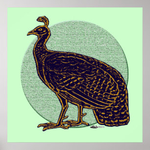 Peafowl: Impressionistic Congo Hen Poster