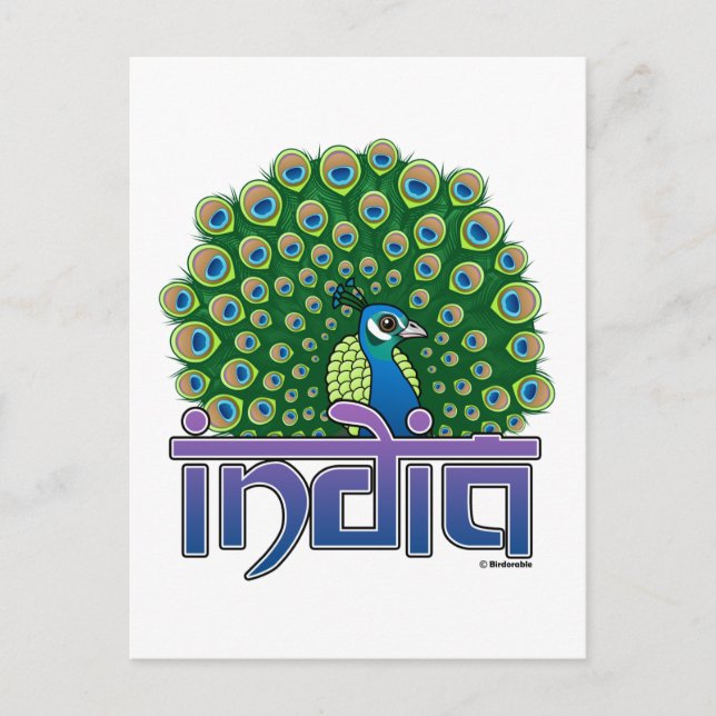 Peafowl of India Postcard (Front)