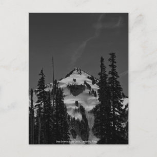Peak Between Trees Postcard