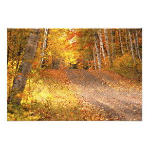 Peak Fall Foliage Season in the U. P. Photo Print