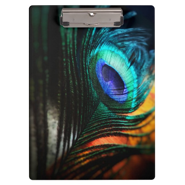 Peakcock Feather up close and Personal Clipboard (Front)