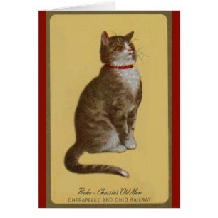 Peake, Chessie’s Old Man tomcat tabby cat