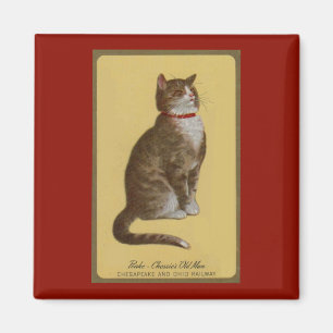 Peake, Chessie’s Old Man tomcat tabby cat Magnet