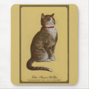 Peake, Chessie’s Old Man tomcat tabby cat Mouse Mat