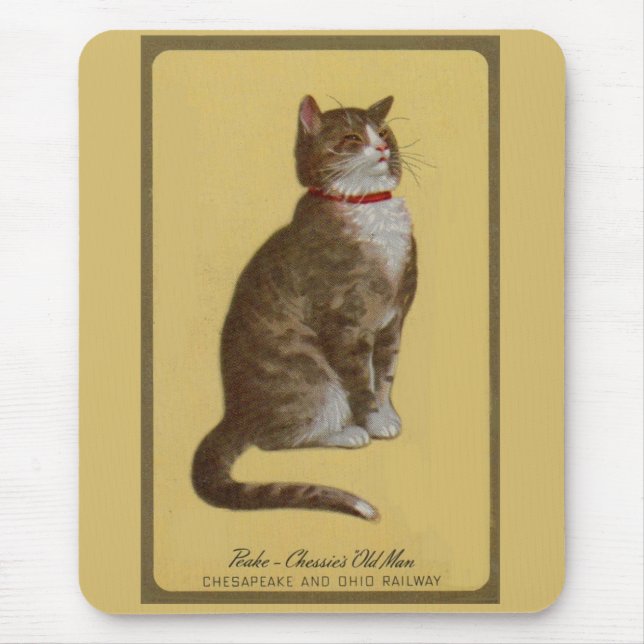Peake, Chessie’s Old Man tomcat tabby cat Mouse Mat (Front)