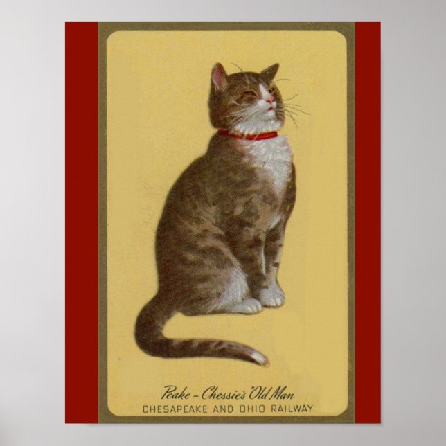 Peake, Chessie’s Old Man tomcat tabby cat Poster (Front)