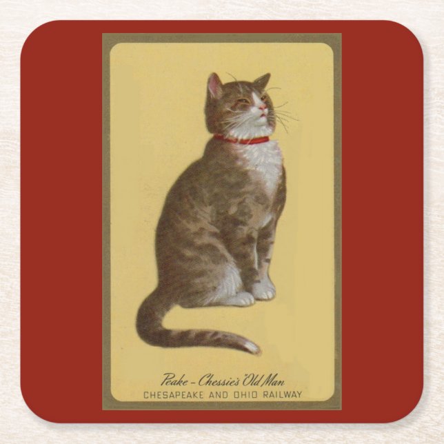 Peake, Chessie’s Old Man tomcat tabby cat Square Paper Coaster (Front)