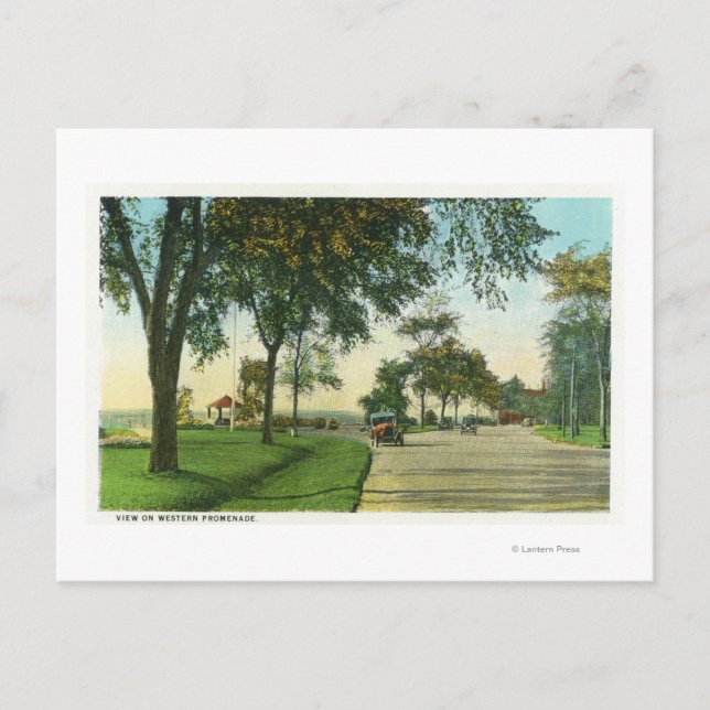 Peaks Island View of Pumpkin Knob Postcard (Front)