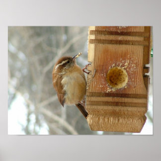 Peanut butter bird poster