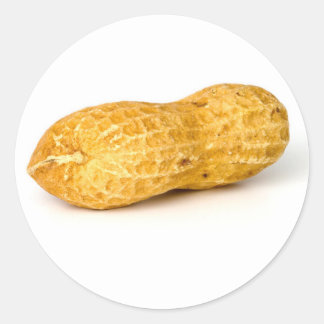 Peanut Classic Round Sticker
