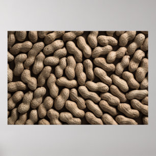 Peanut Family Poster