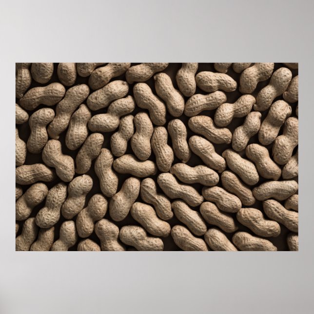 Peanut Family Poster (Front)