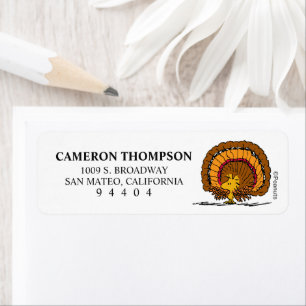 Peanuts   Be Thankful Woodstock Turkey