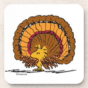 Peanuts Be Thankful Woodstock Turkey Coaster