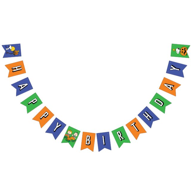 Peanuts | Charlie Brown and Gang Birthday Bunting Bunting (All)