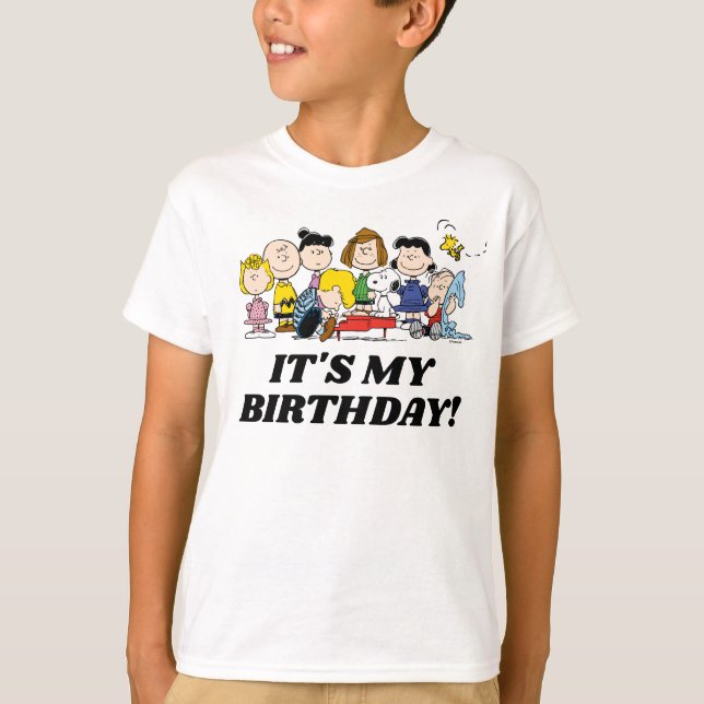 Peanuts | Charlie Brown and Gang It's My Birthday T-Shirt (Front)
