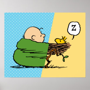 Peanuts   Charlie Brown & Woodstock Half & Half Poster