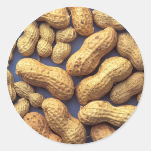 Peanuts Classic Round Sticker