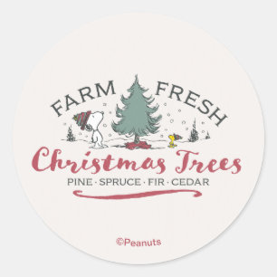 Peanuts   Farm Fresh Christmas Trees Classic Round Sticker
