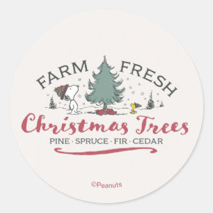 Peanuts   Farm Fresh Christmas Trees Classic Round Sticker