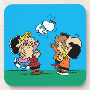 Peanuts   Friends Fun Coaster